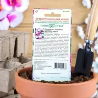 Семена комнатных цветов Барвинок "Щеголь", ц/п,  0,05 г