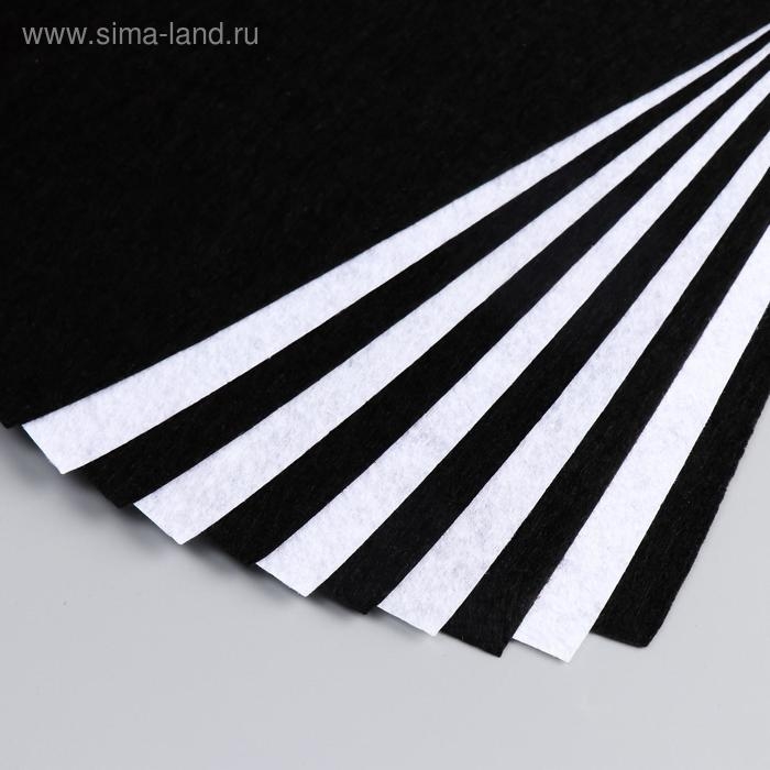 Фетр Фетр "Белое и чёрное" 1 мм (набор 10 листов) формат А4