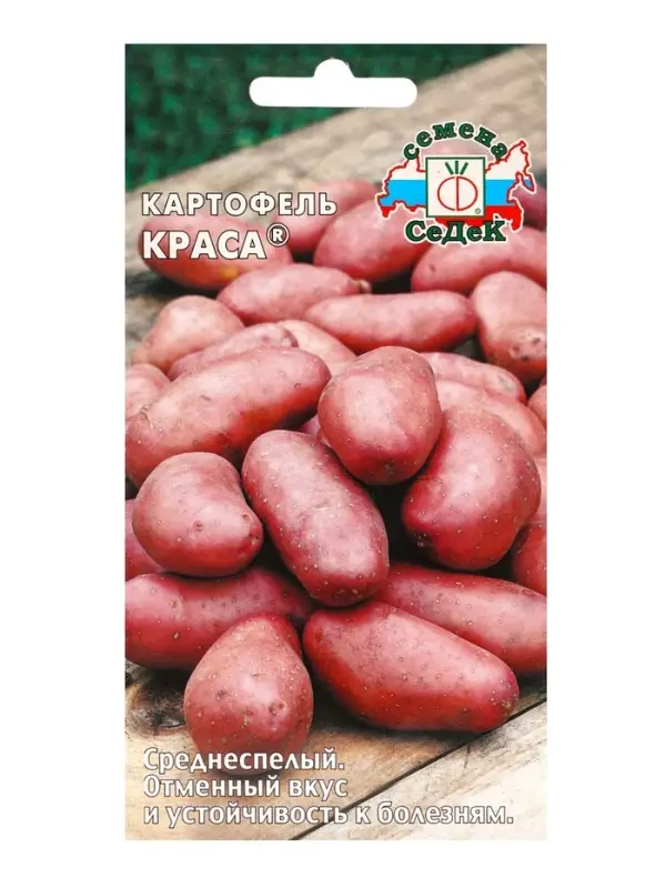 Семена Картофель  "Краса "0.02 г