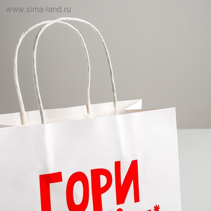 Пакет подарочный крафт, упаковка, &laquo;Гори огнем&raquo;, 22 х 22 х 11 см