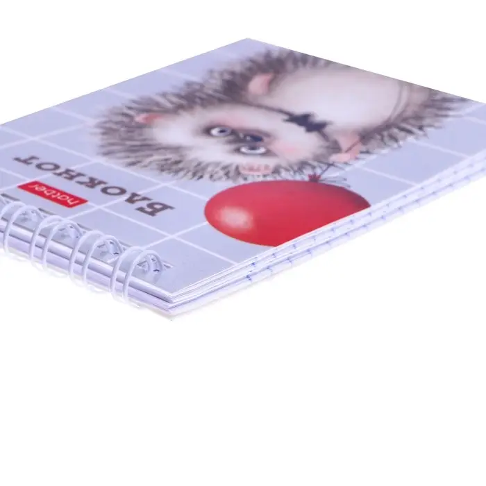 Блокнот А7, 40 листов на гребне в клетку "Хорошо быть ёжиком", обложка мелованный картон, блок офсет 65 г/м2