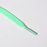 Шнурки для обуви, пара, плоские, 8 мм, 120 см, мятные