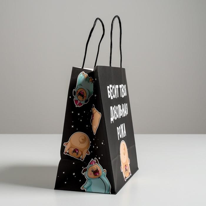 Пакет подарочный, упаковка, &laquo;Бесит&raquo;, 22 х 22 х 11 см