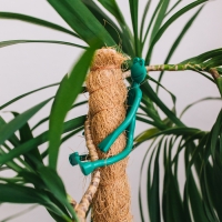 Подвязка для растений &laquo;Лягушка&raquo;, набор 2 шт., зелёная, Greengo