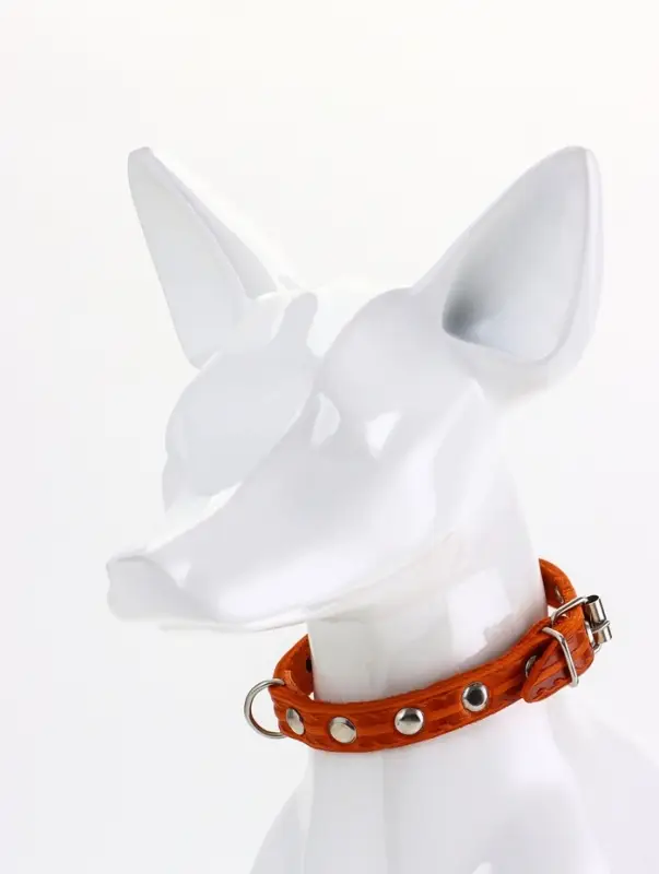 Ошейник кожаный однослойный украшенный, 1,2 см, ОШ 20-26 см микс цветов