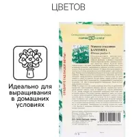 Семена комнатных цветов Мимоза "Кампина", ц/п,  0,1 г