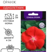 Семена цветов Катарантус Пацифика "Оранж" 10 шт