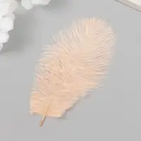 Перо декоративное страуса "Шампанское" h=15-20 см