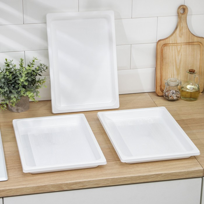 Набор подносов для заморозки пельменей, 36&times;25&times;3 см, 3 шт, цвет МИКС