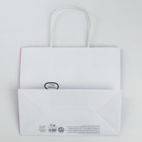 Пакет подарочный крафтовый, упаковка, &laquo;Котик&raquo;, 25 х 22 х 12 см