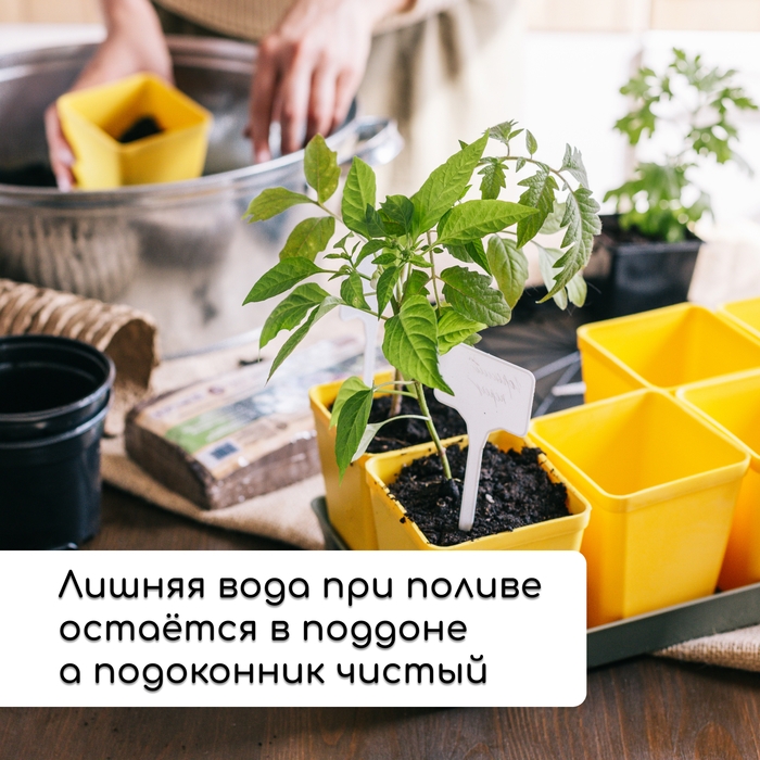 Набор для рассады: стаканы по 200 мл (18 шт.), поддон 36,5 &times; 17 см, цвет МИКС, Greengo
