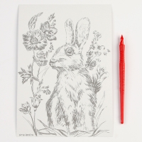 Гравюра. Набор гравюр &laquo;Звери&raquo;, А5, 4 шт