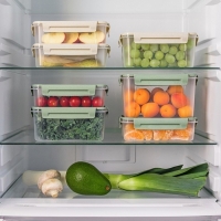 Контейнер пищевой Lock&Ok, 1,1 л, 18,6&times;12,2&times;8,1 см, прозрачный, крышка зелёная