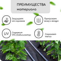 Материал мульчирующий, с перфорацией, 10 &times; 1,6 м, плотность 80 г/м&sup2;, спанбонд с УФ-стабилизатором, чёрный, Greengo, Эконом 30%