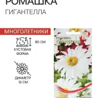 Семена Ромашка "Гигантелла",  70 шт