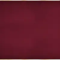 Пленка для цветов матовая, &laquo;С золотым тиснением&raquo;, 57&times;57 см, красная