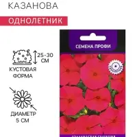 Семена цветов Катарантус "Казанова", 10шт