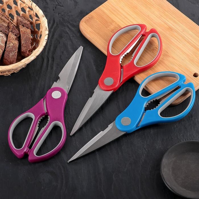 Ножницы кухонные Доляна &laquo;Генри&raquo;, 23 см, цвет МИКС