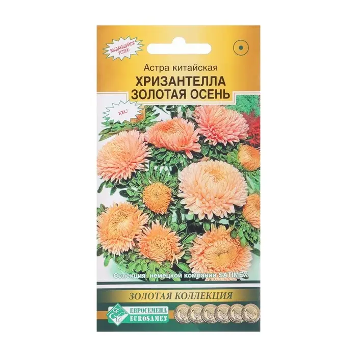 Семена цветов Астра китайская "Хризантелла Золотая Осень", 5 шт