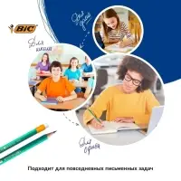 Карандаш чернографитный (простой) НВ, BIC Evolution, заточенный, пластиковый, c ластиком, шестигранный, зелёный корпус