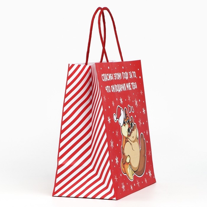 Пакет подарочный новогодний &laquo;Спасибо этому году&raquo;, 22 х 22 х 11 см