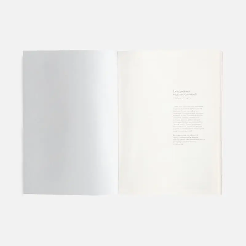 Ежедневник Repute, недатированный, красный