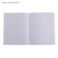 Тетрадь 48 листов в клетку Calligrata "Авокадо", обложка мелованный картон, блок офсет, МИКС
