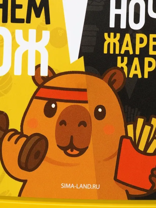 Ланч-бокс прямоугольный &laquo;ЗОЖ&raquo;, 500 мл