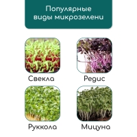 Коврик джутовый для выращивания микрозелени, 10 &times; 15 см, толщина 1 см, набор 5 шт.
