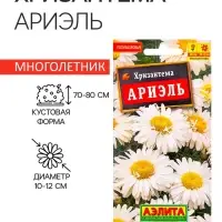 Семена  цветов Хризантема "Ариэль", Мн, 0,1 г