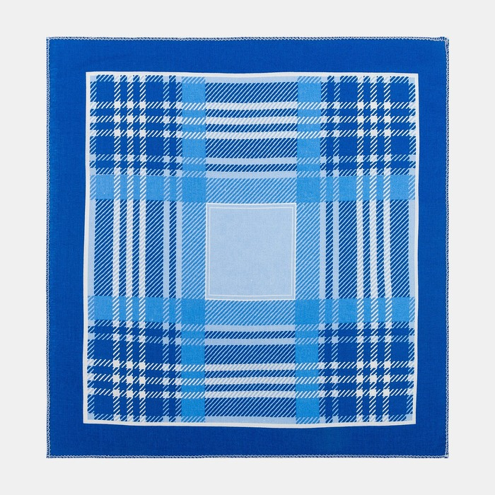 Платки носовые мужские Этель 30*30 см,(набор 12 шт,) цв.Голубой, рис. МИКС 100% хл