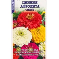 Семена Цинния Афродита /Сотка/ 0,2г/ смесь h-90см, d-15см/*1200