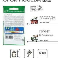 Семена Огурец Зозуля F1, партенокарпический, раннеспелый, 12 шт