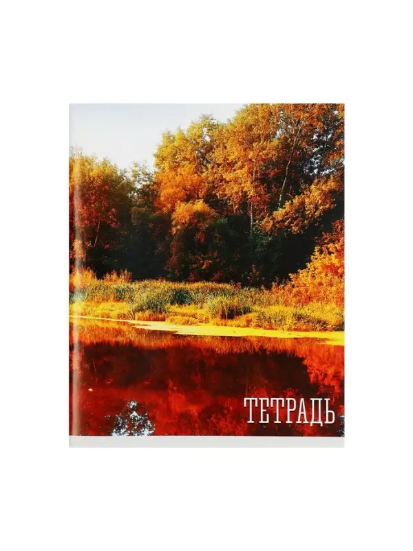 Тетрадь 48 листов в клетку, Calligrata &laquo;Времена года&raquo;, обложка мелованная бумага, серые листы, МИКС