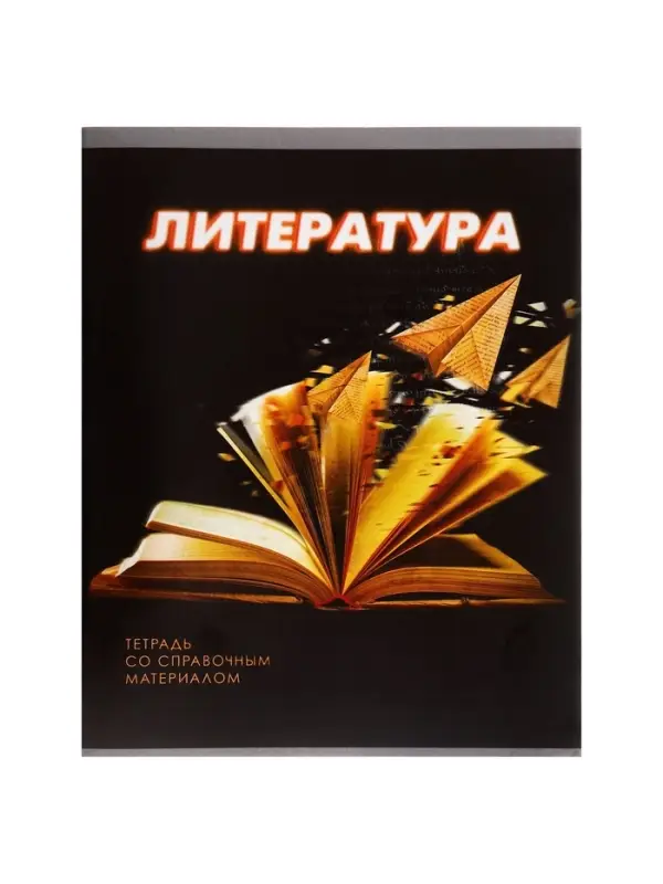 Тетрадь предметная 48 листов в линейку Calligrata &laquo;3D. Литература&raquo;, серые листы