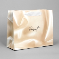 Пакет подарочный, упаковка, &laquo;Present&raquo;, 22 х 17.5 х 8 см