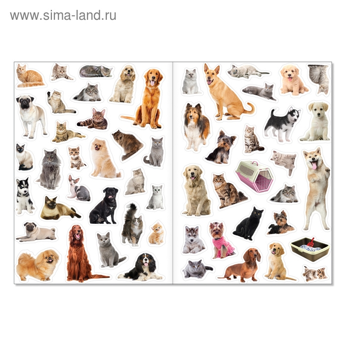 Многоразовые наклейки набор &laquo;Такие разные животные&raquo;, А4, 2 шт.