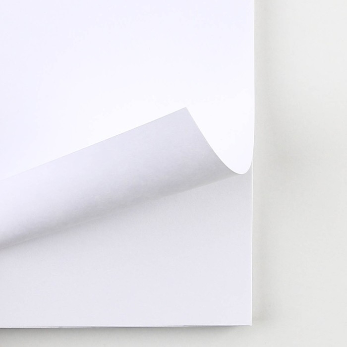 Скетчбук А5, 40 л 100 г/м2 &laquo;Кошка&raquo;