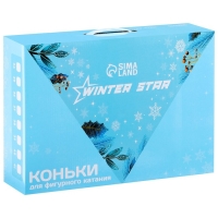 Коньки фигурные Winter Star Basic, р. 41