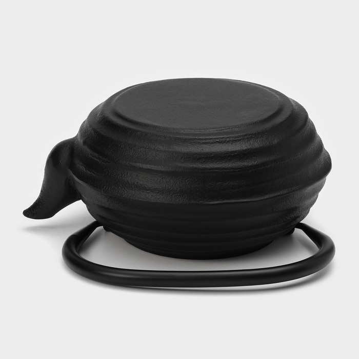 Чайник для плиты с эмалированным покрытием внутри Magma &laquo;Танан&raquo;, 800 мл, чугун, с ситом, индукция