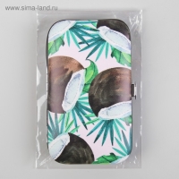 Набор маникюрный &laquo;Фрукты&raquo;, 6 предметов, в футляре, рисунок МИКС