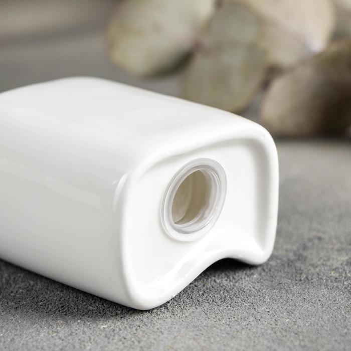 Набор для специй фарфоровый Magistro &laquo;Бланш&raquo;, 3 предмета: солонка 65 мл, перечница 60 мл, ёмкость для зубочисток, цвет белый