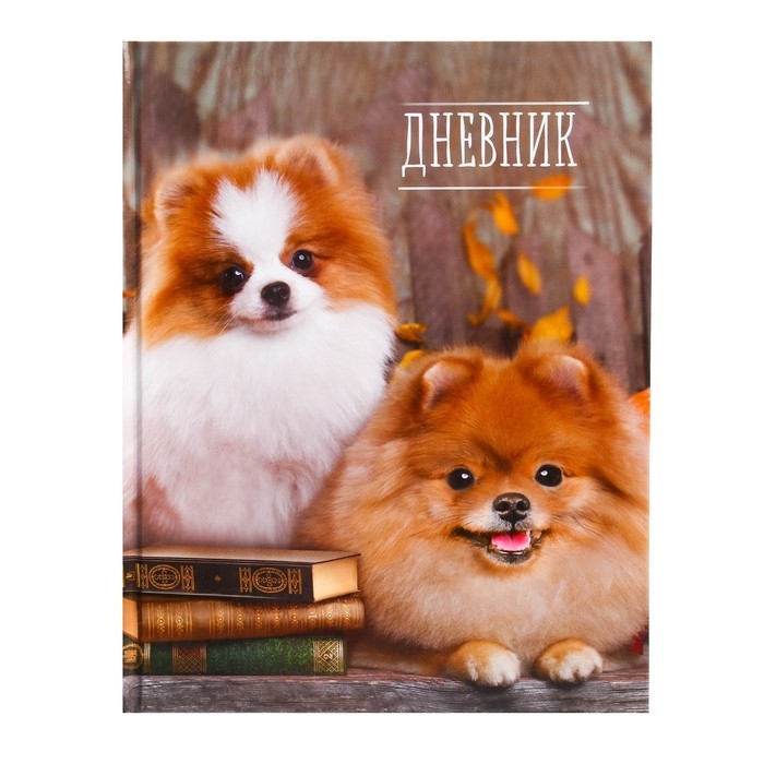 Дневник универсальный для 1-11 классов, "Шпиц", твердая обложка 7БЦ, глянцевая ламинация, 40 листов