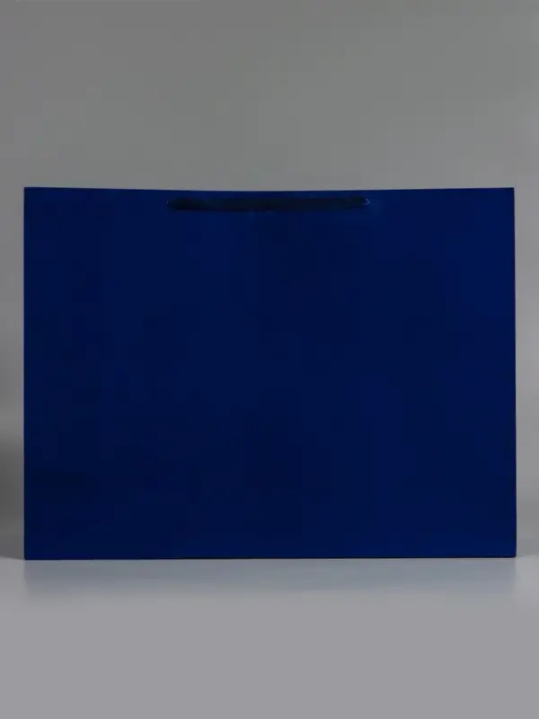 Пакет ламинированный горизонтальный "Синий", XXL  61 х 46 х 20 см