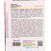 Семена цветов Пеларгония Маверик Скарлет F1 (Maverick Scarlet)  3 шт.  12.29 г.