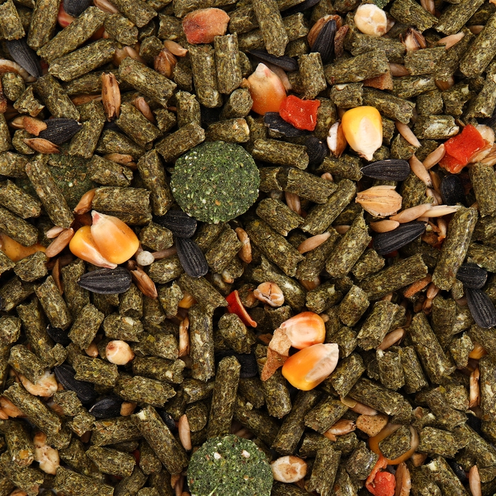 Корм "Пижон" для шиншилл, с фруктами, 400 г