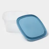 Контейнер пищевой SparkPlast BioFresh, 500 мл, пластик, прозрачный, крышка микс