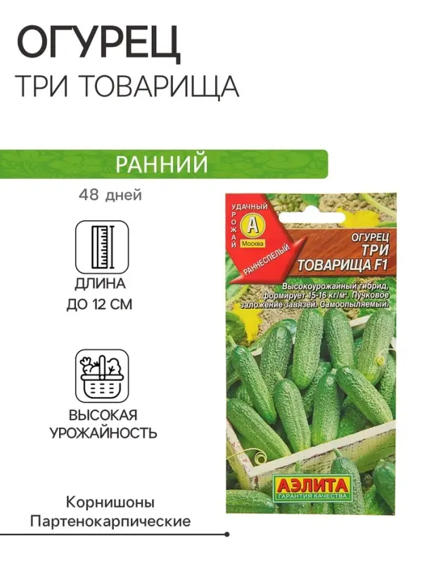 Семена Огурец "Три товарища" F1, раннеспелый, партенокарпический, 10 шт.