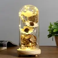 Ночник "Колба с букетом" LED 3ААА 22,5х9,5х11 см RISALUX