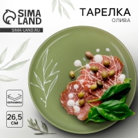Тарелка керамическая &laquo;Олива&raquo;, 26.5см, цвет зелёный
